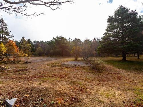 8894 Highway 201, Nictaux, NS 