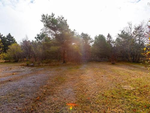 8894 Highway 201, Nictaux, NS 
