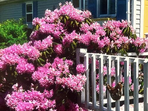 8894 Highway 201, Nictaux, NS 
