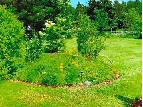 8894 Highway 201, Nictaux, NS 