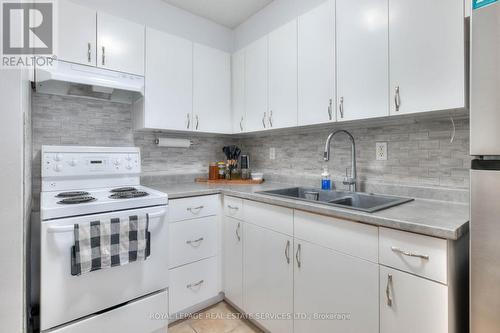 301 - 64 Benton Street, Kitchener, ON - Indoor Photo Showing Kitchen With Double Sink