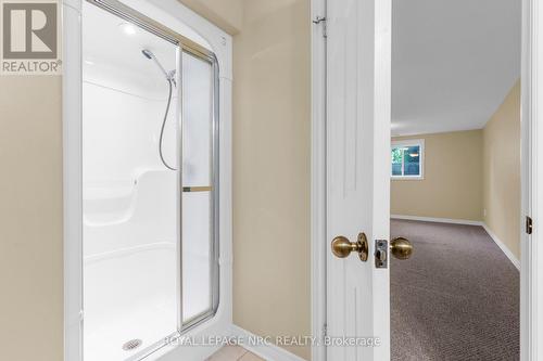Basement 3pc - 157 Loretta Drive, Niagara-On-The-Lake (Virgil), ON - Indoor Photo Showing Bathroom