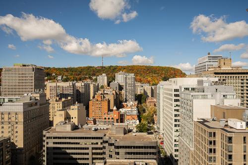 View - 24D-1200 Boul. De Maisonneuve O., Montréal (Ville-Marie), QC - Outdoor With View
