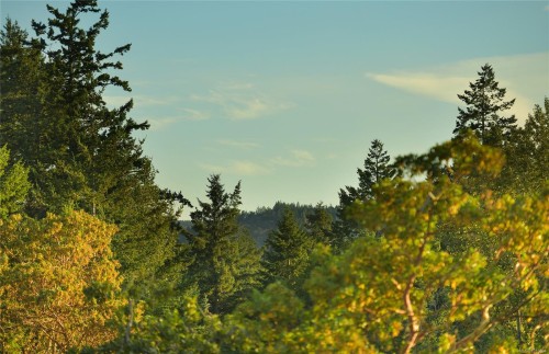 994 Citation Rd, Langford, BC 