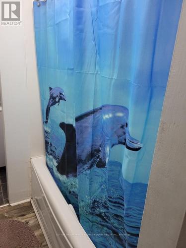 Tub and shower combo - 11 Low Street, Prince Edward County (Picton Ward), ON - Indoor Photo Showing Bathroom