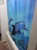 Tub and shower combo - 