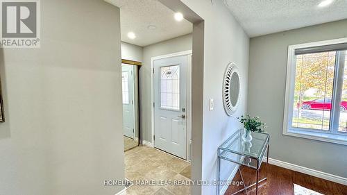 42 Newbury Drive, Kitchener, ON - Indoor Photo Showing Other Room