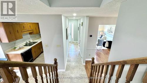 42 Newbury Drive, Kitchener, ON - Indoor Photo Showing Other Room