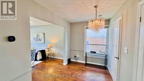 42 Newbury Drive, Kitchener, ON - Indoor Photo Showing Other Room