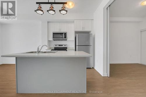 319 - 450 Dundas Street, Hamilton, ON - Indoor Photo Showing Kitchen