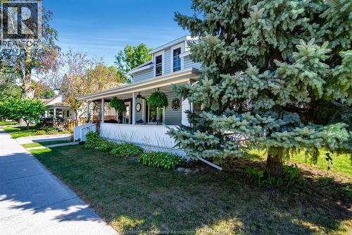 85 Queen Street, Kingsville, ON - Outdoor