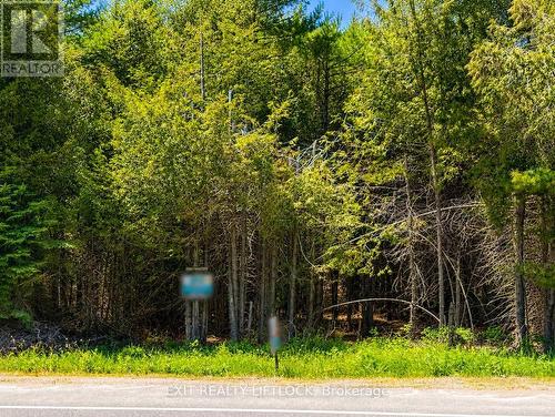 590 County Rd 40, Douro-Dummer, ON 