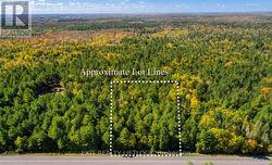 590 COUNTY RD 40 Douro-Dummer, ON K0L 2V0