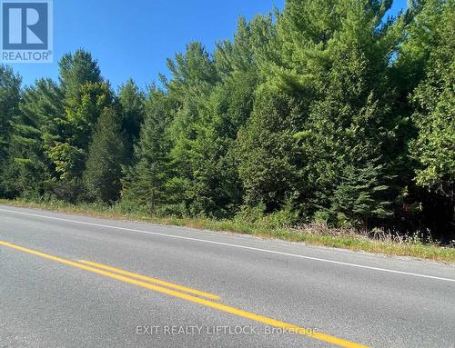 590 County Rd 40, Douro-Dummer, ON 