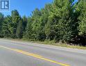 590 County Rd 40, Douro-Dummer, ON 