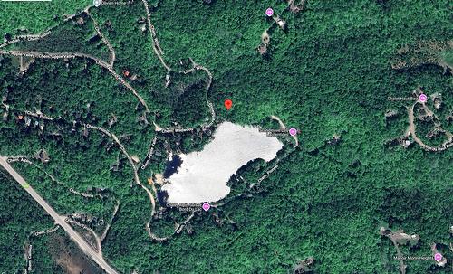 Vue d'ensemble - Ch. Wildwood, Saint-Adolphe-D'Howard, QC 