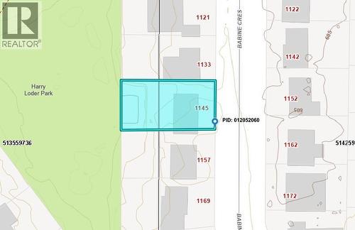 1145 Babine Crescent, Prince George, BC - Other