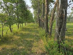 21 Ferry RD  Cartier Rm, MB R4K 1B2