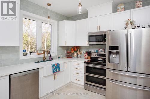20 Ellis Crescent, Kawartha Lakes (Lindsay), ON - Indoor Photo Showing Kitchen With Upgraded Kitchen