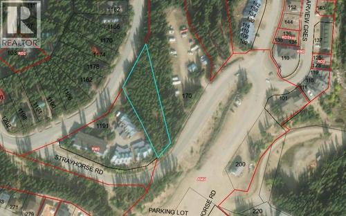 1175 Apex Mountain Road, Apex Mountain, BC 