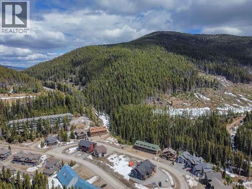 1175 Apex Mountain Road, Apex Mountain, BC 