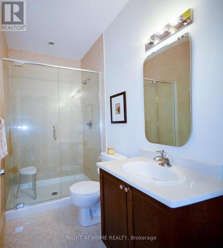 193 Shepody Circle, Ottawa, ON - Indoor Photo Showing Bathroom