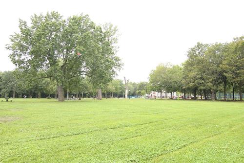 Vue - 606-3425 Av. Papineau, Montréal (Ville-Marie), QC - Outdoor