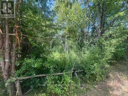 122-123 Riverview Beach Road, Georgina, ON 