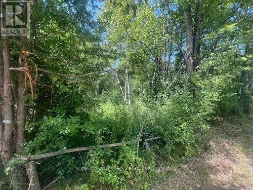 122-123 Riverview Beach Road, Georgina, ON 