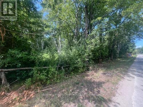 122-123 Riverview Beach Road, Georgina, ON 