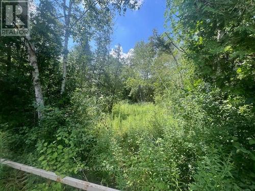 122-123 Riverview Beach Road, Georgina, ON 