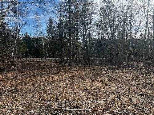 122-123 Riverview Beach Road, Georgina, ON 