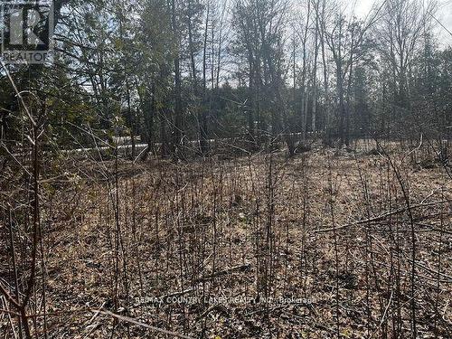 122-123 Riverview Beach Road, Georgina, ON 