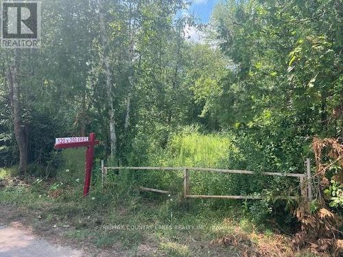 122-123 Riverview Beach Road, Georgina, ON 