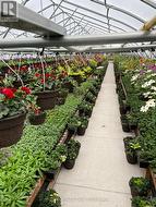 19 LEDGE ROAD  Trent Lakes, ON K0M 1A0