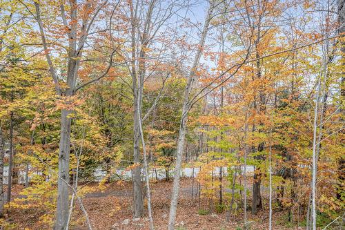 Backyard - 3 Rue Des Tilleuls, Fossambault-Sur-Le-Lac, QC - Outdoor With View