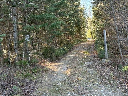 Other - Ch. Des Tamias, Saint-Didace, QC 