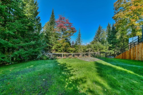 Cour - 135 Ch. Fournel, Sainte-Anne-Des-Lacs, QC - Outdoor