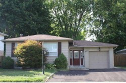 Basement-323 Towercrest Drive  Newmarket, ON L3Y 1C3