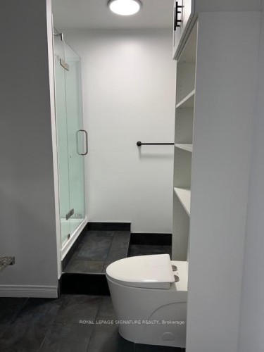 Main-208 Carlton Street, Toronto, ON - Indoor Photo Showing Bathroom