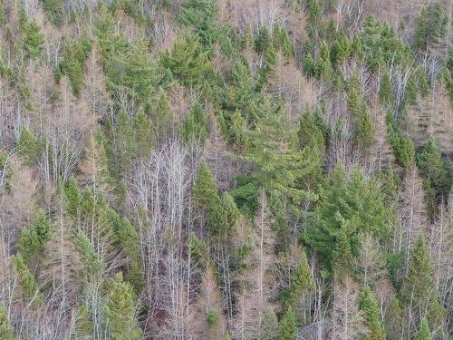 Lot 9 West Bay Highway, Roberta, NS 