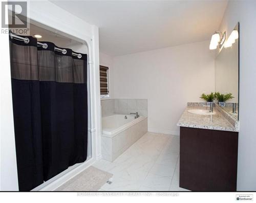 38 Mcgovern Lane, Brant, ON - Indoor Photo Showing Bathroom
