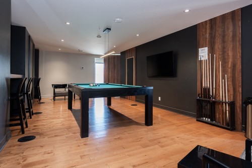 Common room - 301-185 Rue Du Séminaire, Montréal (Le Sud-Ouest), QC - Indoor Photo Showing Other Room