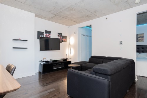 Living room - 301-185 Rue Du Séminaire, Montréal (Le Sud-Ouest), QC - Indoor Photo Showing Living Room