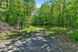 PT LTS 12 & 13 DEVIL LAKE ROAD South Frontenac (Frontenac South), ON K0G 1X0