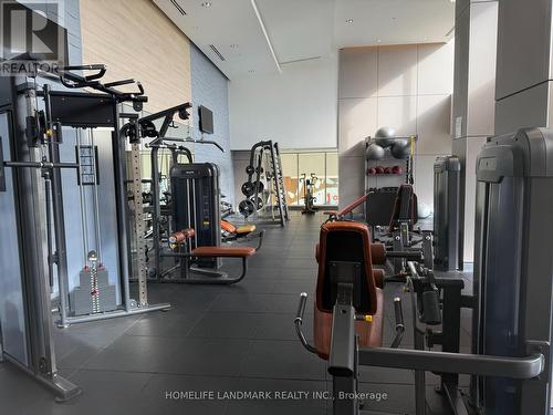 1015 - 95 Mcmahon Drive, Toronto, ON - Indoor Photo Showing Gym Room