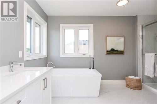 46 Carlos Way, Sudbury, ON - Indoor Photo Showing Bathroom