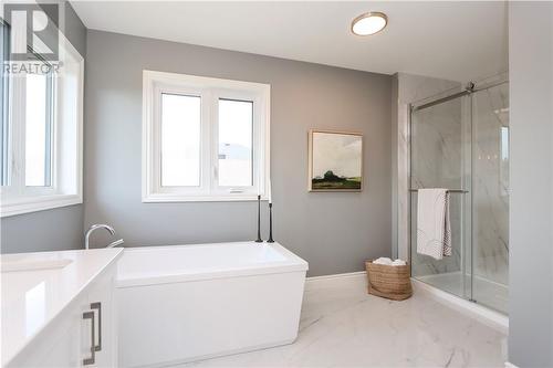 46 Carlos Way, Sudbury, ON - Indoor Photo Showing Bathroom