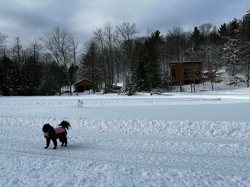 Autre - 48 Ch. Richard-Tapp, Lachute, QC - Outdoor