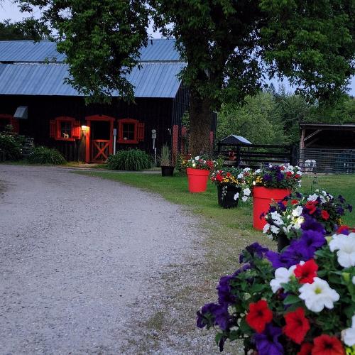 À proximité - Route 321 N., Saint-André-Avellin, QC 